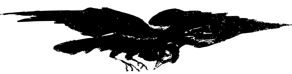 Raven with wings spread